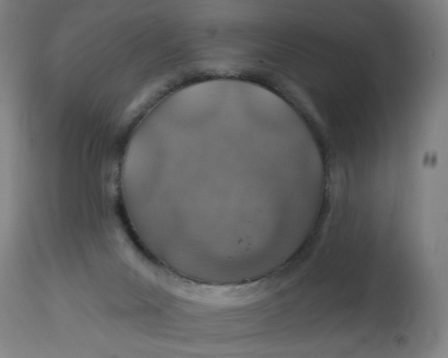 X0000113000023200909171416