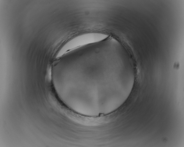 X0000113000027200909171416