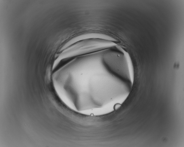 X0000113000028200909171416