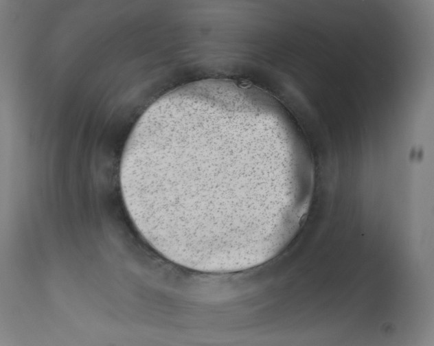 X0000113000029200909171416