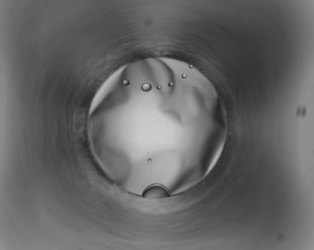 X0000113000030200909171416