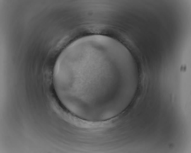 X0000113000031200909171416