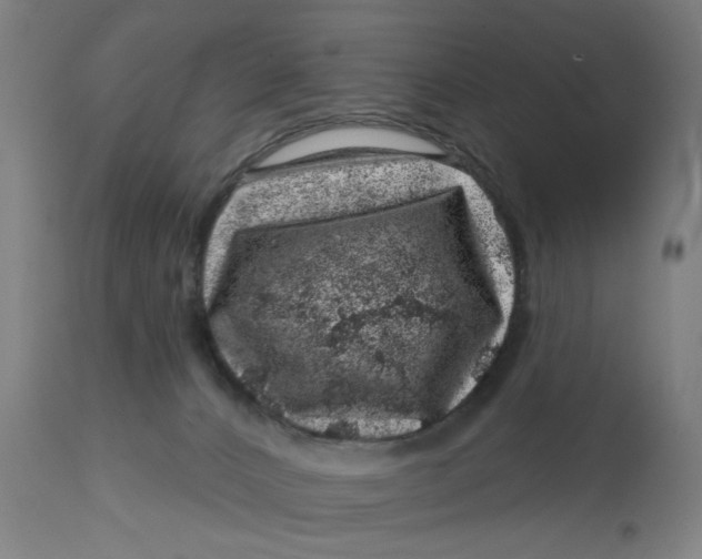 X0000113000032200909171416