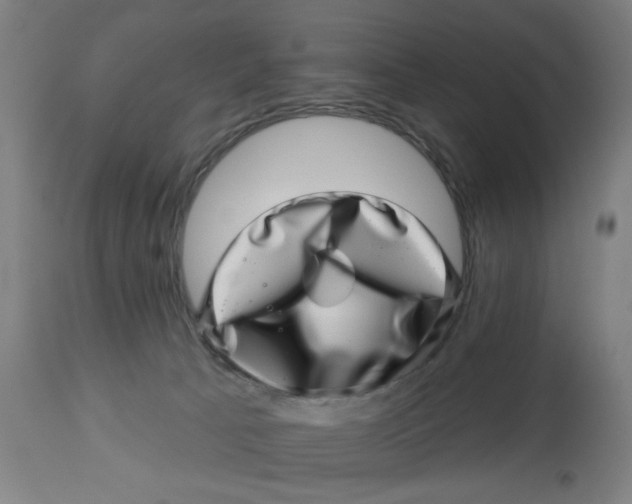 X0000113000033200909171416