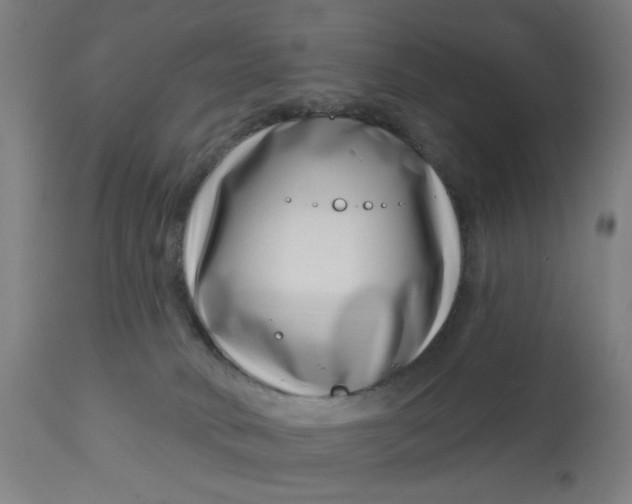 X0000113000034200909171416