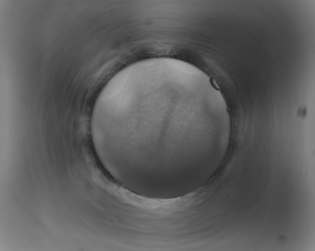 X0000113000035200909171416