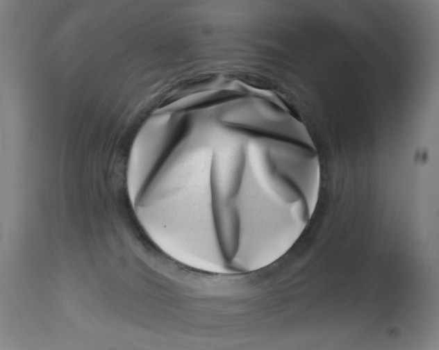 X0000113000036200909171416