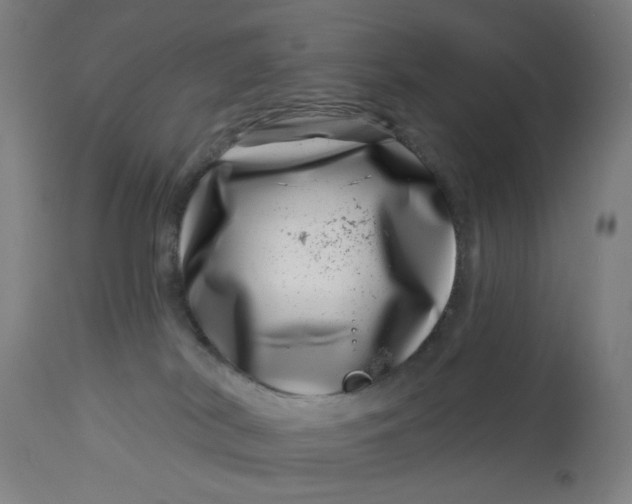 X0000113000038200909171416