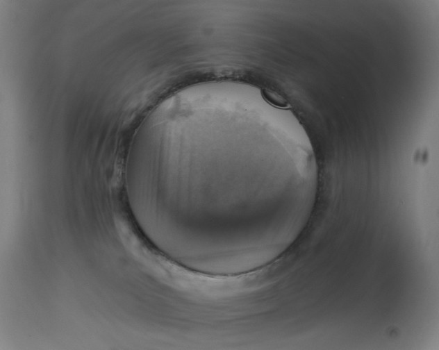 X0000113000039200909171416