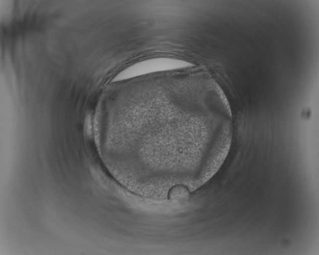 X0000113000042200909171416