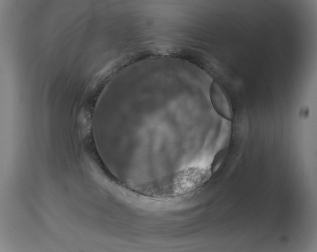 X0000113000043200909171416