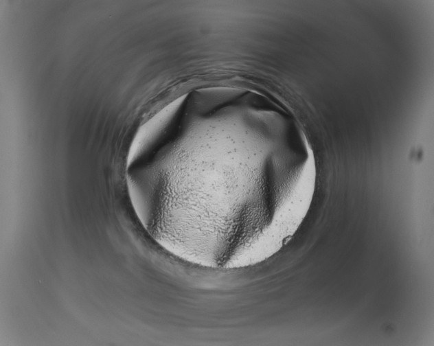 X0000113000044200909171416