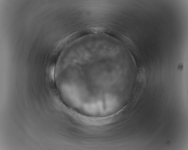 X0000113000047200909171416