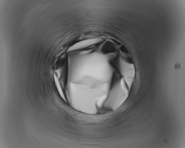 X0000113000048200909171416