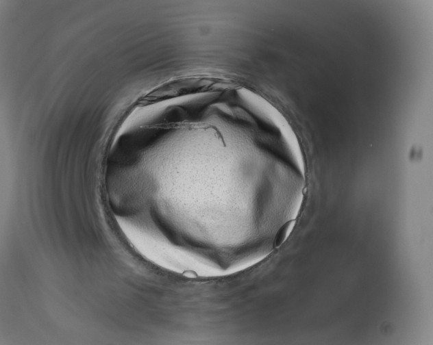 X0000113000049200909171415