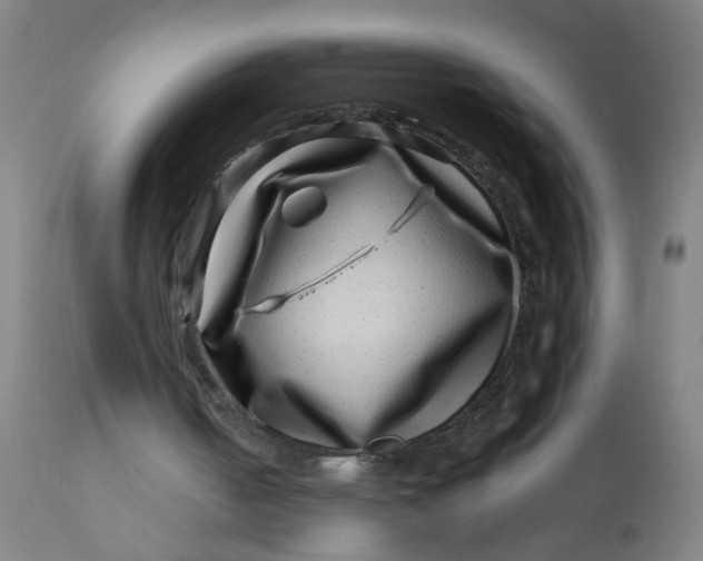 X0000113000050200909171415