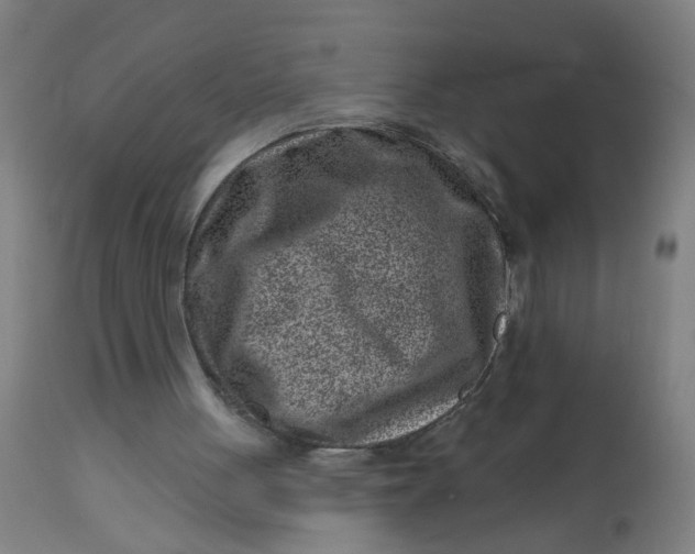 X0000113000051200909171415