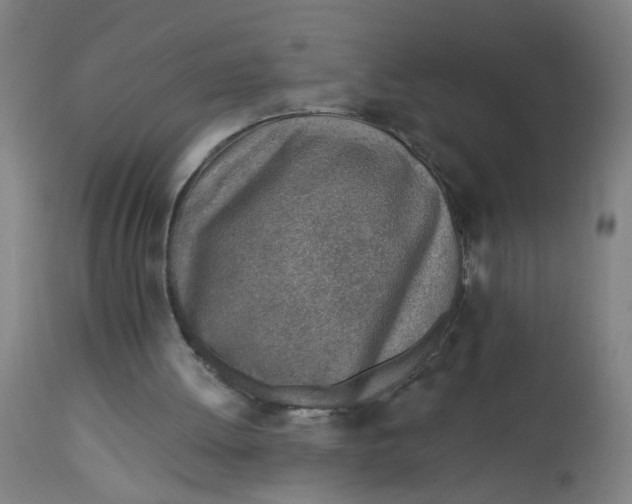 X0000113000052200909171415