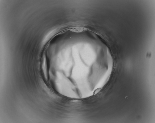 X0000113000053200909171415