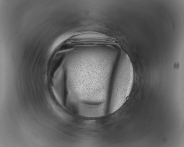 X0000113000054200909171416