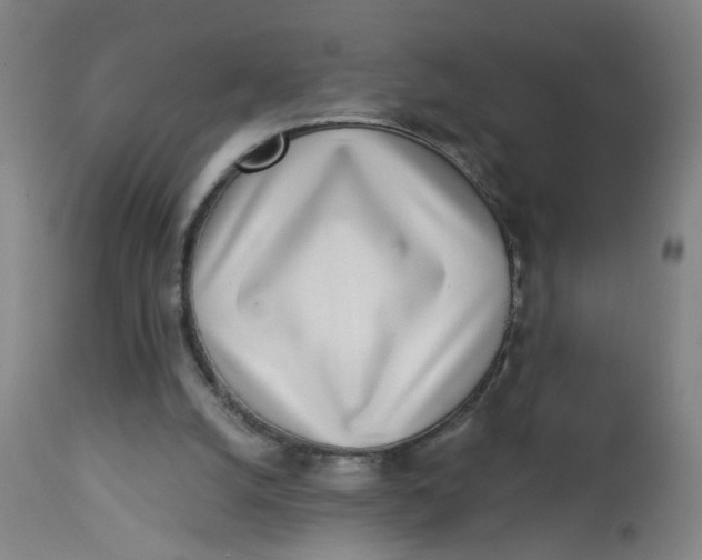 X0000113000056200909171416