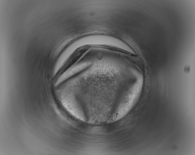 X0000113000058200909171416