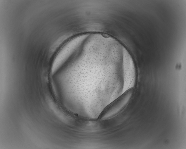 X0000113000060200909171416