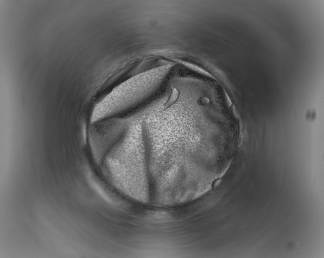 X0000113000061200909171416