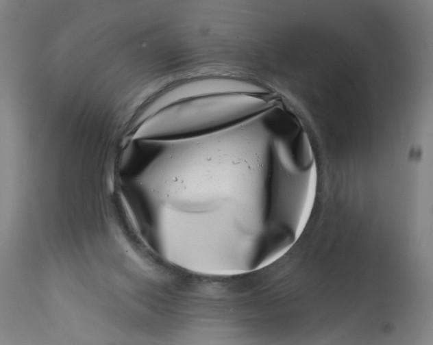 X0000113000062200909171416