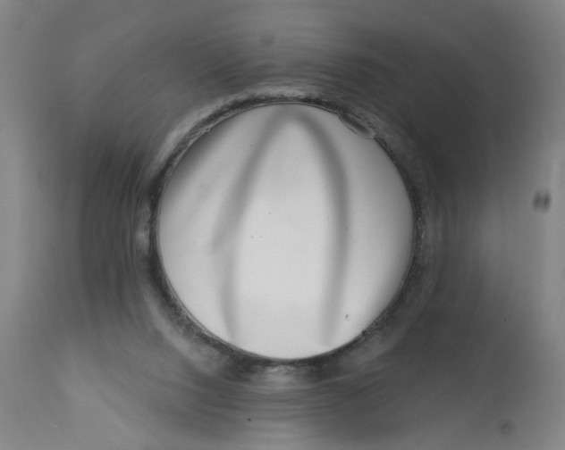 X0000113000064200909171416