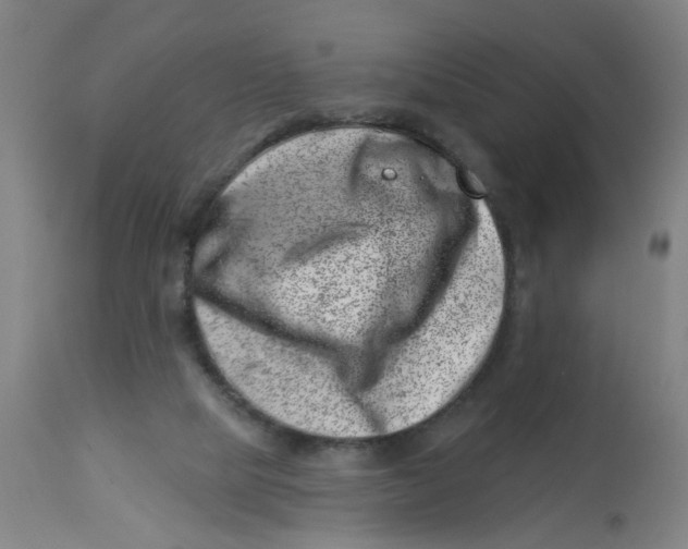 X0000113000065200909171416