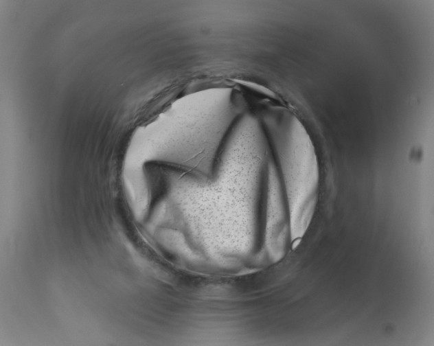 X0000113000066200909171416