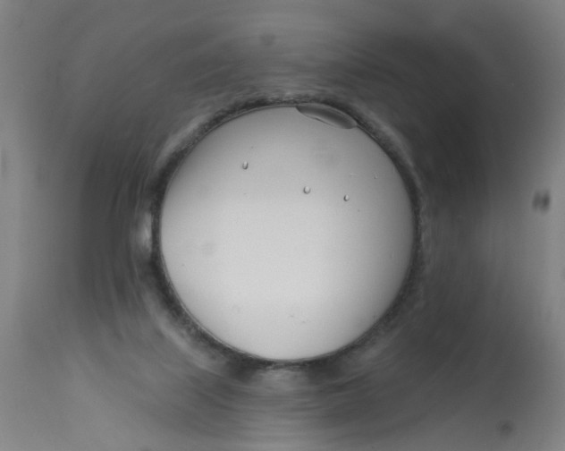 X0000113000067200909171416