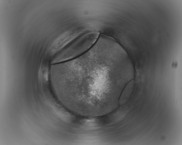 X0000113000068200909171416