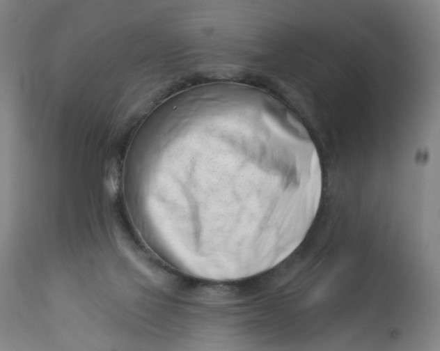 X0000113000069200909171416