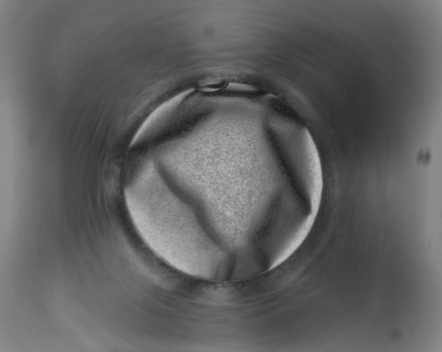 X0000113000071200909171416