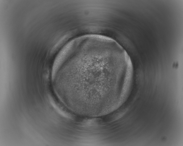 X0000113000072200909171416