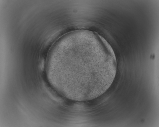 X0000113000076200909171416