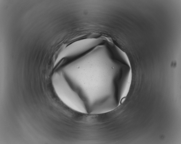 X0000113000078200909171416