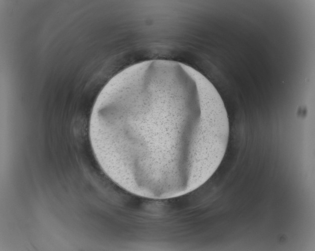 X0000113000079200909171416