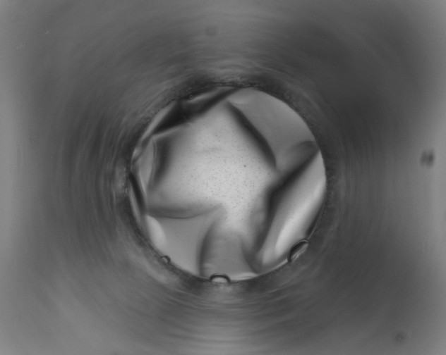 X0000113000081200909171416