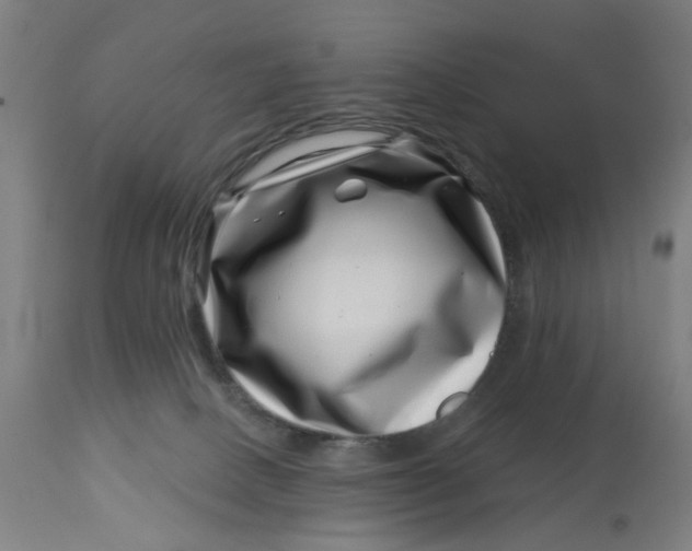 X0000113000082200909171416