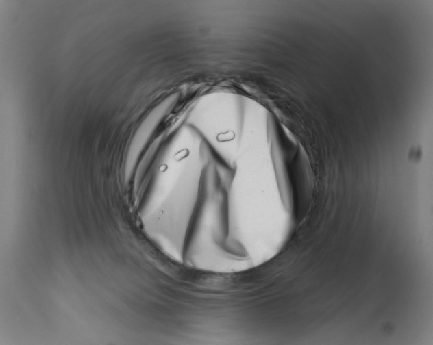 X0000113000084200909171416