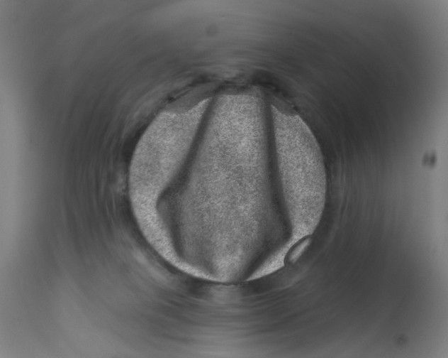 X0000113000085200909171416