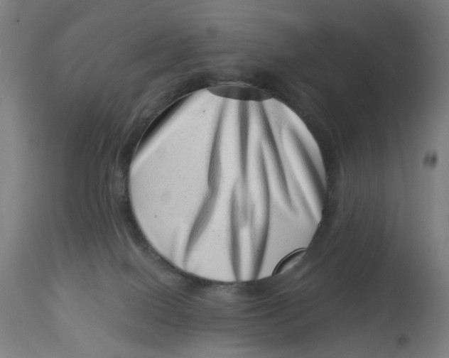 X0000113000086200909171416