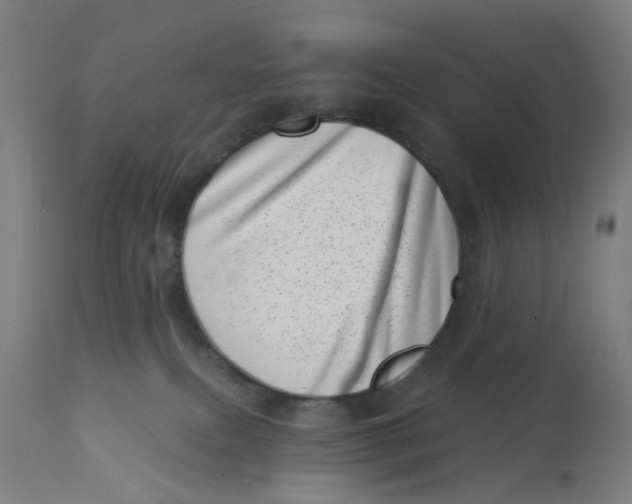 X0000113000087200909171416