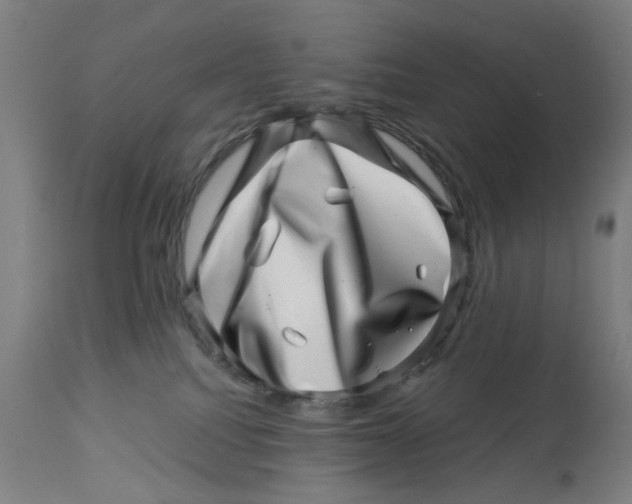 X0000113000088200909171416