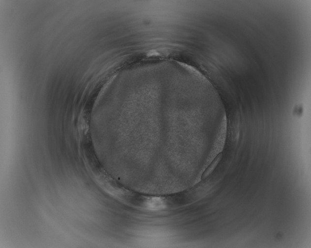 X0000113000091200909171416