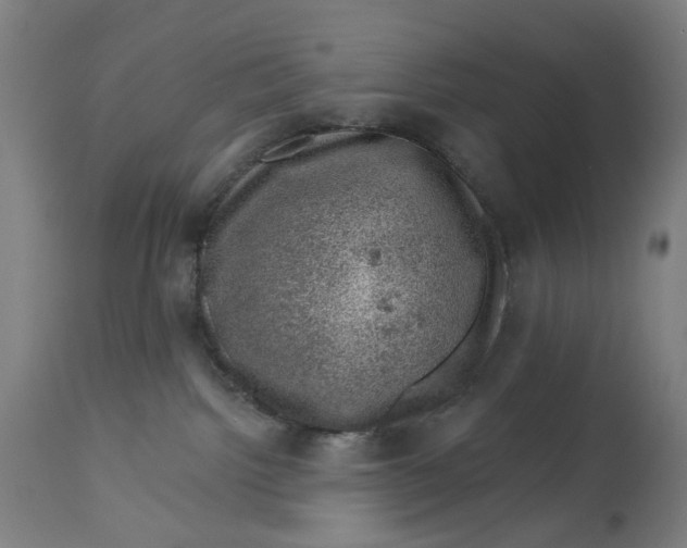 X0000113000092200909171416