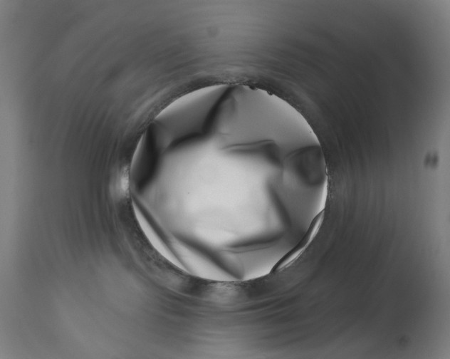 X0000113000095200909171416